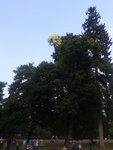 Funiversity_testowy lot balonu Fokus One_2.jpg Funiversity_testowy lot balonu Fokus One_2.jpg
