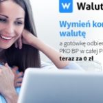Nowości na urodziny serwisu wymiany walut. Euro w gotówce. Prosto z Internetu