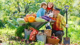 LIFESTYLE, Żywienie - Warzywa i owoce, obok aktywności fizycznej, zajmują najważniejsze miejsce w Piramidzie Zdrowego Żywienia i Aktywności Fizycznej. Stanowiąc podstawę zbilansowanej codziennej diety, kompleksowo wspierają prawidłowe funkcjonowanie organizmu. Są źródłem wielu witamin i składników mineralnych, można je spożywać na surowo, gotowane, mrożone, a także w postaci przetworów np.: soków. 18 października na całym świecie obchodzony jest Światowy Dzień Owoców i Warzyw! Jednak, aby zachować zdrowie i witalność powinniśmy świętować codziennie., Już dziś obchodzimy Światowy Dzień Owoców i Warzyw! LIFESTYLE, Żywienie - Warzywa i owoce, obok aktywności fizycznej, zajmują najważniejsze miejsce w Piramidzie Zdrowego Żywienia i Aktywności Fizycznej. Stanowiąc podstawę zbilansowanej codziennej diety, kompleksowo wspierają prawidłowe funkcjonowanie organizmu. Są źródłem wielu witamin i składników mineralnych, można je spożywać na surowo, gotowane, mrożone, a także w postaci przetworów np.: soków. 18 października na całym świecie obchodzony jest Światowy Dzień Owoców i Warzyw! Jednak, aby zachować zdrowie i witalność powinniśmy świętować codziennie.